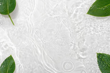 Water banner background with leaves hosts. White water texture,  surface with rings and ripple. Spa...