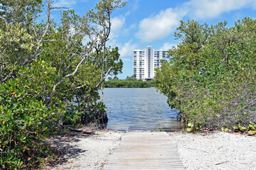 A Path Leading to the Water in South Florida