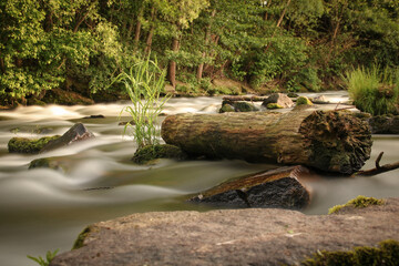 Long exposure of a log in a river