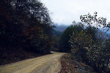 Forest mountains autumn river travel nature landscape