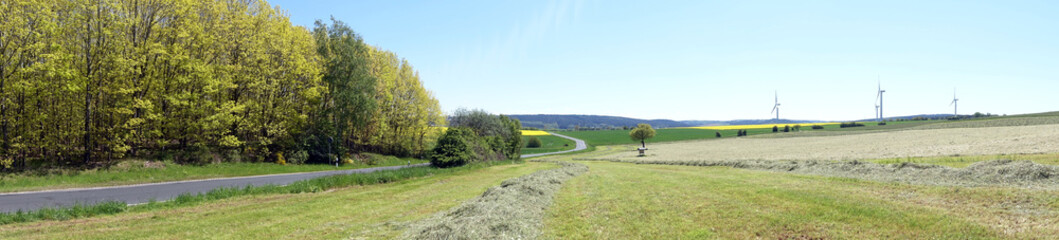 Heuernte, Eifellandschaft bei Voissel