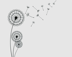 Conceptual illustration of freedom and serenity. Abstract black dandelion, flying seeds of dandelion