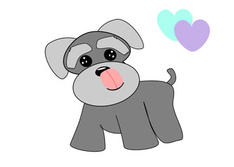Schnauzer with the heart