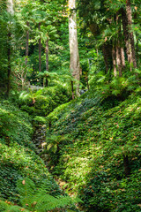 Gardens on Lake Como
