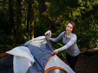 In the photo we see a young female tourist. Early morning. A woman assembles a blue tent. Around we see a dense green forest, grass, as well as a road.