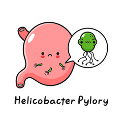 Cute sad human stomach organ with helicobacter pylori bacteria. Vector hand drawn cartoon kawaii character illustration. Isolated on white background. Sick stomach with helicobacter pylori bacteria