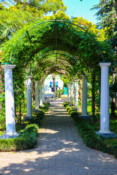 Arched tunnel in a park in Batumi, Georgia
