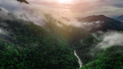 Aerial view of a rainforest a river flows through in the lush green rain cloud cover tropical rain...