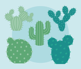 five cactus items