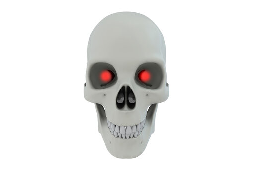 Skull 3D rendering image front view