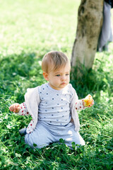Cute baby sits on his knees on green grass near a tree and holds a yellow apple in his hand