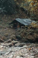Maison dans la jungle