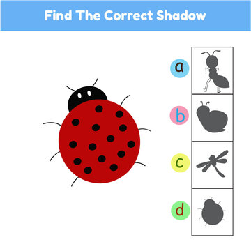 Find The Correct Shadow Matching Game Animal Ladybug Cartoon Illustration Vector