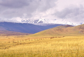 Obraz premium Kurai steppe in the Altai Mountains. Hillsides in spring against the backdrop of mountains under white clouds. Pure Nature of Siberia, Russia