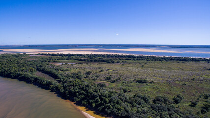 lavender field in region