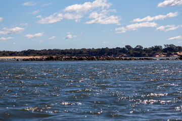 seagulls on the beach