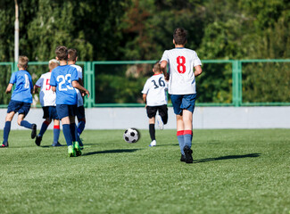 Young sport boys in blue sportswear running and kicking a  ball on pitch. Soccer youth team plays football in summer. Activities for kids, training	