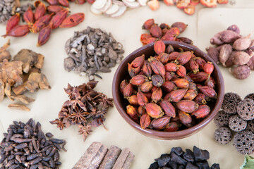 Traditional Chinese Medicine