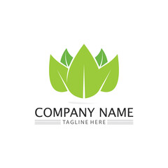 Tree leaf vector and green logo design friendly concept