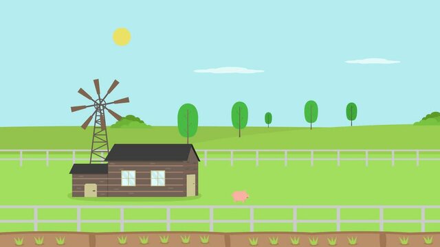 Flock of pigs in the livestock with farmhouse