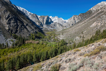 Beautiful landscape around Big Pine Creek Trail