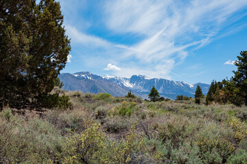 Sunny landscape around the Hot Creek Geological Site