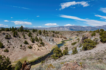 Sunny landscape around the Hot Creek Geological Site