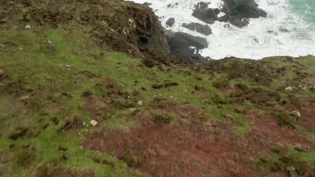 Aerial fly over the Cornish landscape to the misty shoreline to the ocean waves.