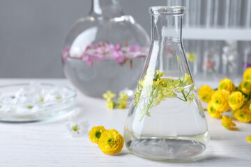Laboratory glassware with flowers, focus on flask. Extracting essential oil for perfumery and cosmetics