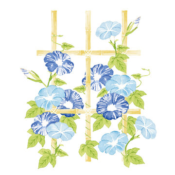朝顔柄 Images Browse 63 Stock Photos Vectors And Video Adobe Stock 朝顔柄 Images Browse 63 Stock Photos Vectors And Video Adobe Stock