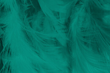 Beautiful dark green vintage color trends feather texture background