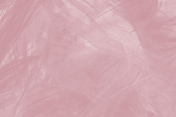 Beautiful violet feather pattern texture background , pastel color style