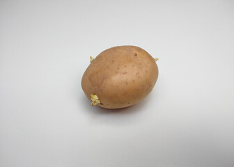 potato isolated on white background