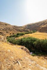 Reeds and a stream against the backdrop of the deserts of Wadi Kelt within which the Prat stream flows