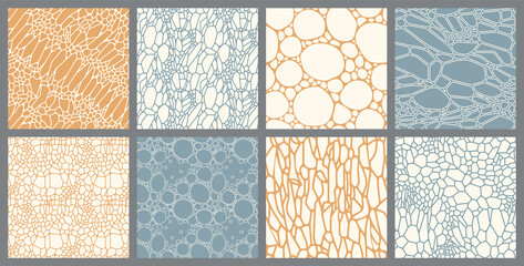 Set of Abstract Seamless Patterns. Organic Cell Texture. Vector Illustration. - 437813876