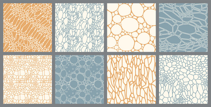 Set of Abstract Seamless Patterns. Organic Cell Texture. Vector Illustration.