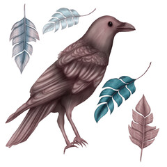 Spooky crow, cute feathers, halloween party design elements, magical creature, black bird