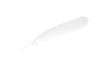  sketching white feather on white background