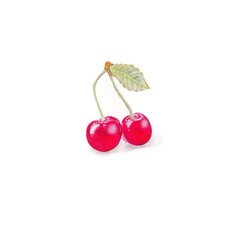cherries on a white background