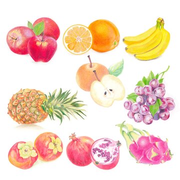 set of fruits drawing with color pencil. Hand drawing. 