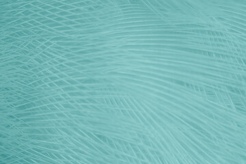 Beautiful blue turquoise vintage color trends feather pattern texture pastel background