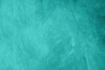 Beautiful fluffy dark green viridian vintage color trends feather texture background