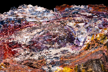 Petrified Wood Rock Abstract National Park Arizona