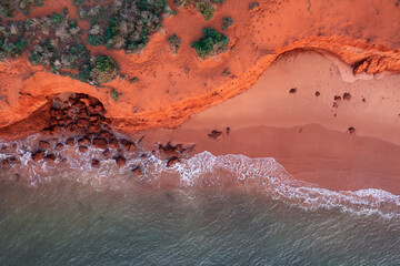 Aerial view at sunset of coast around Cape Peron at Shark Bay, Western Australia - obrazy, fototapety, plakaty