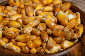Toasted Peruvian corn. Toasted canchita or chulpe corn often served alongside ceviche. Close up.