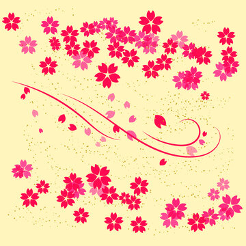 Pink Sakura Flowers and Petals on the White Background with Pink Lines and Dots