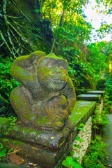 monkey temple in wild jungle forest, bali, indonesia