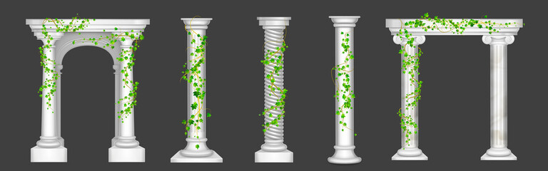 Ivy on marble columns and arches, vines with green leaves climbing on antique stone pillars, creeper plant on decorative greek or roman architecture design elements, Realistic 3d vector illustration - obrazy, fototapety, plakaty