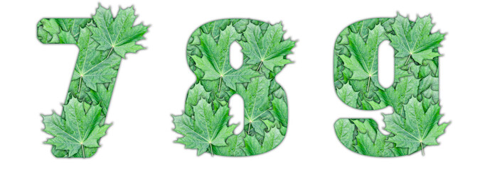 The numbers 7, 8, 9 are made of green maple leaves