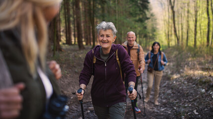 Group of seniors hikers outdoors in forest in nature, walking.